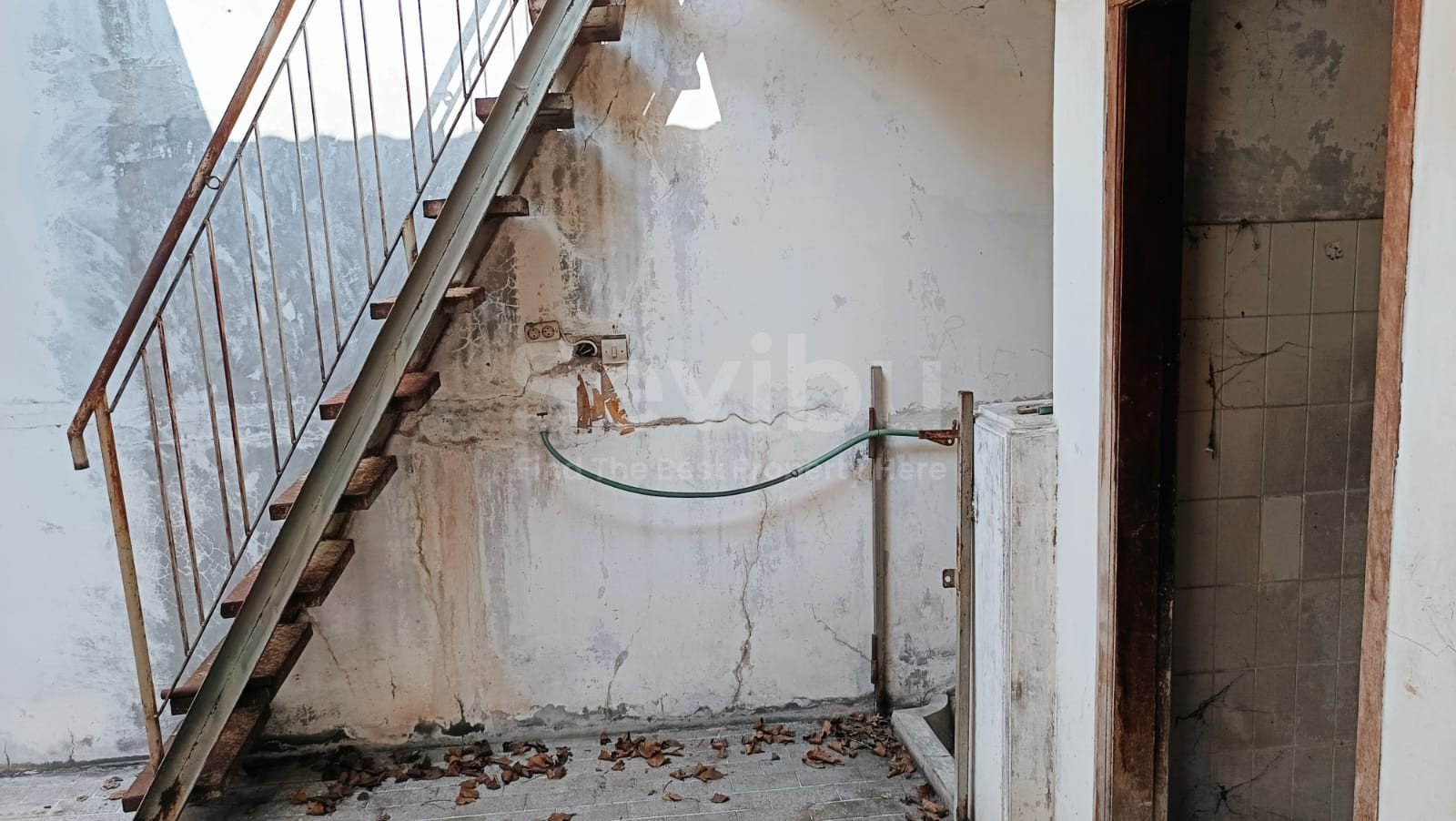 WhatsApp Image 2025-12-13 at 11.51.27