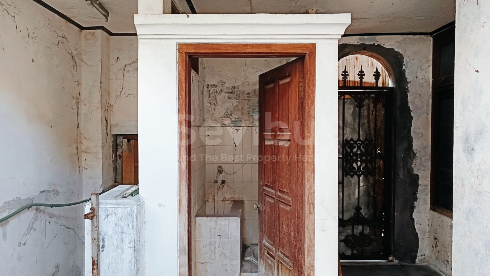 WhatsApp Image 2025-12-13 at 11.51.31 (1)