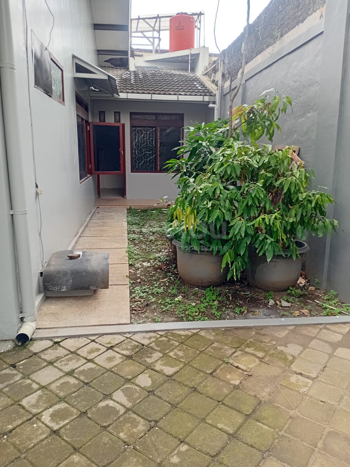 WhatsApp Image 2025-12-30 at 12.29.50