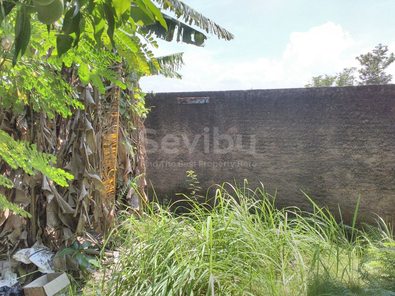 WhatsApp Image 2017-11-01 at 12.59.42