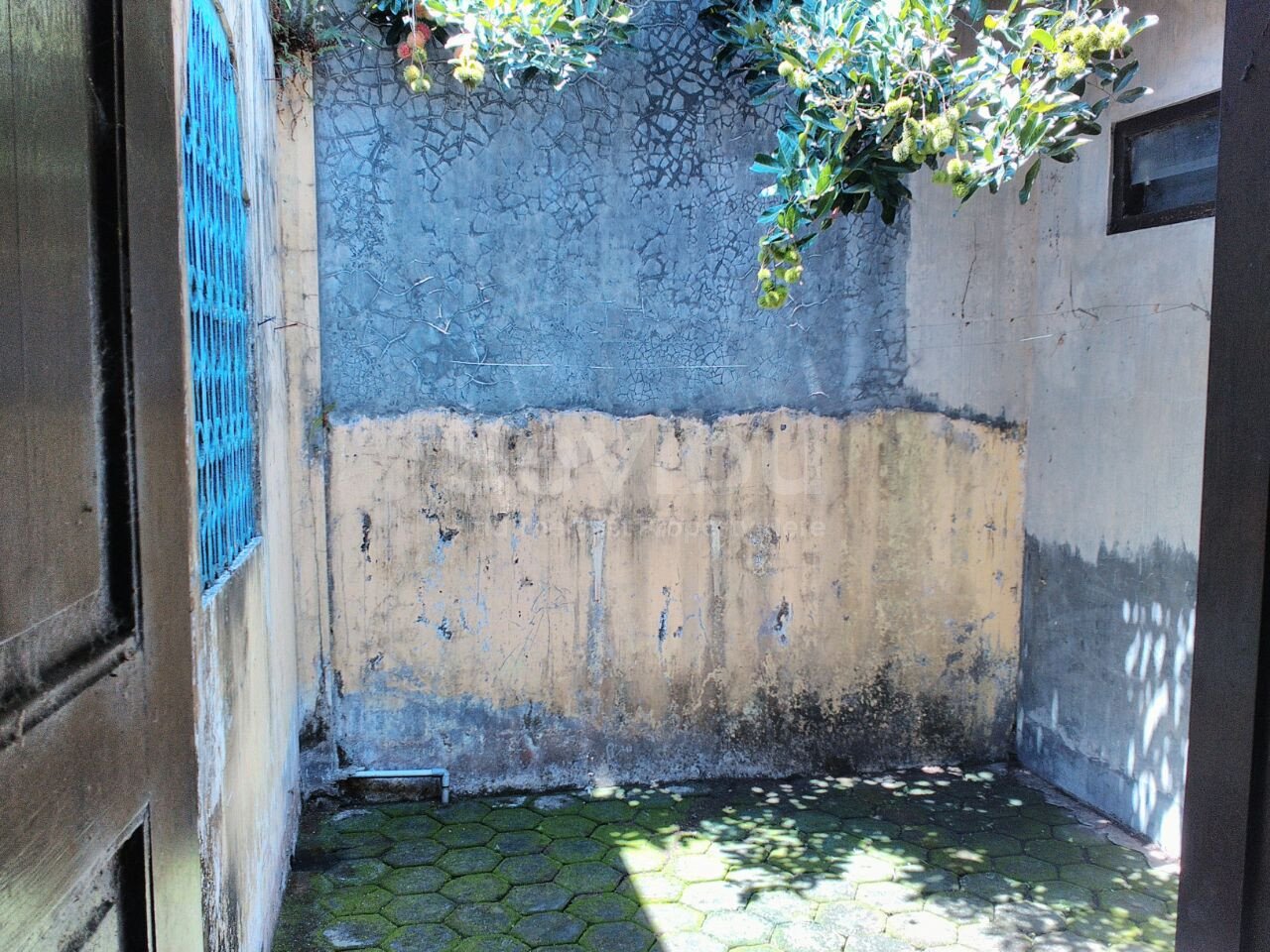 WhatsApp Image 2017-11-01 at 12.59.43