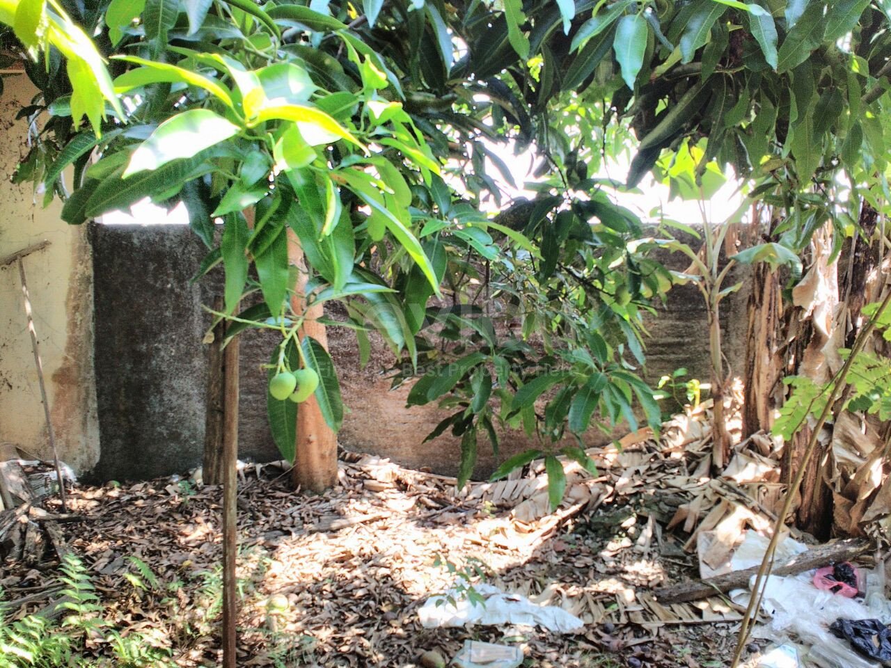 WhatsApp Image 2017-11-01 at 12.59.51