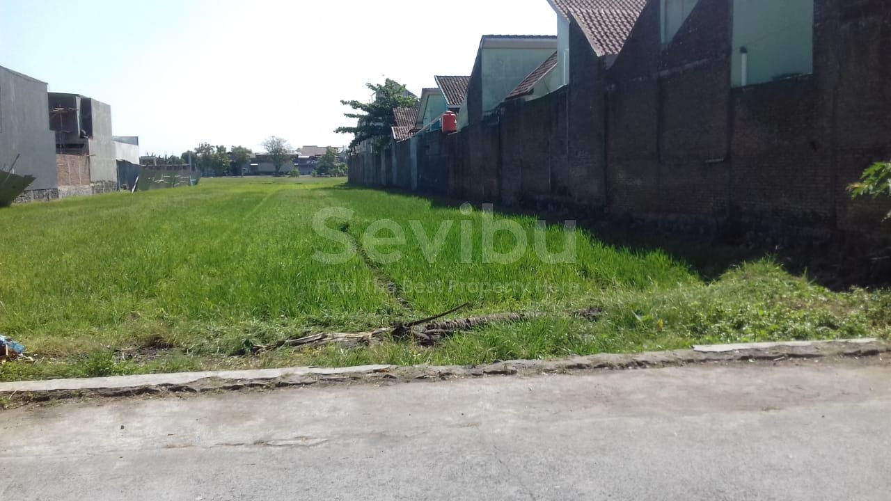 WhatsApp Image 2019-07-08 at 11.36.15