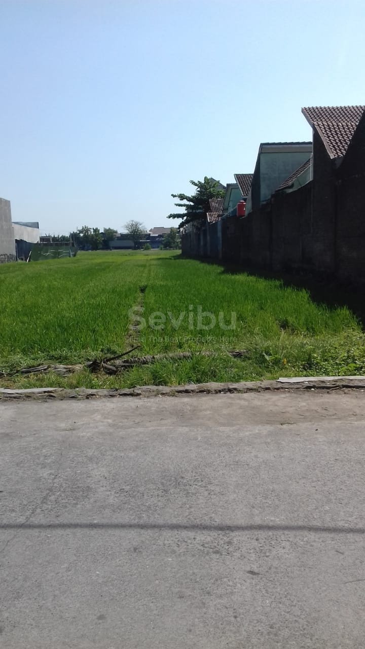 WhatsApp Image 2019-07-08 at 11.38.56