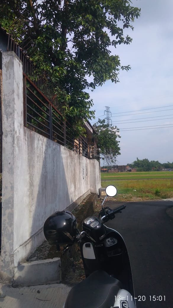 WhatsApp Image 2020-11-15 at 09.06.49