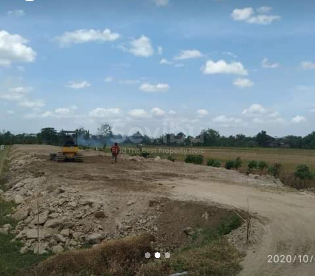 WhatsApp Image 2021-01-20 at 15.40.22