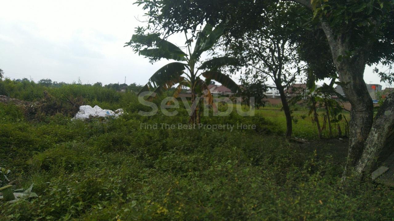 WhatsApp Image 2021-01-25 at 13.35.59