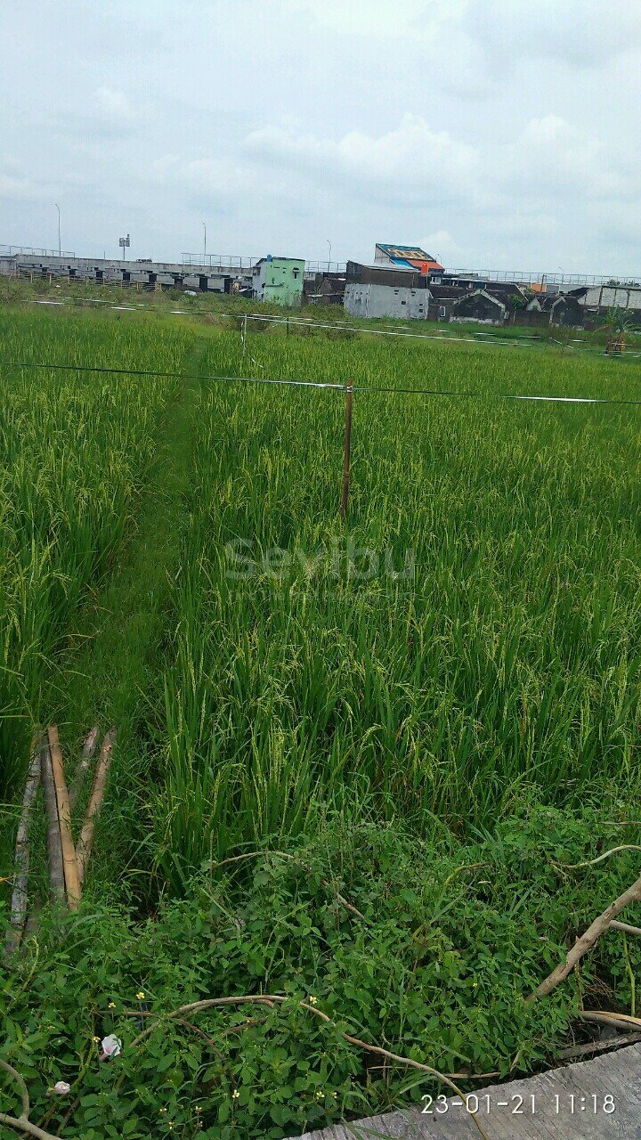 WhatsApp Image 2021-01-28 at 11.40.18