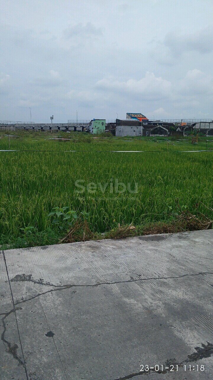 WhatsApp Image 2021-01-28 at 11.40.18(1)