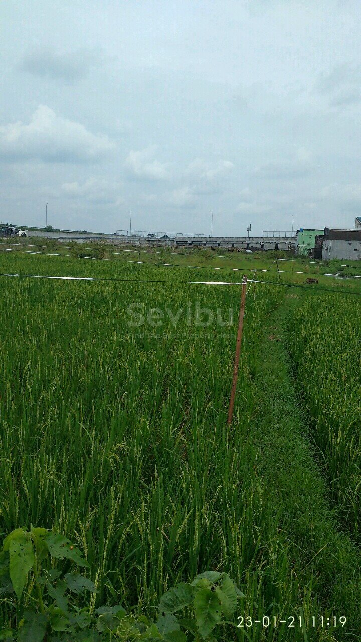 WhatsApp Image 2021-01-28 at 11.40.19(2)