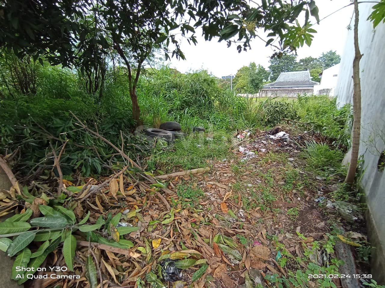 WhatsApp Image 2021-03-24 at 11.19.29