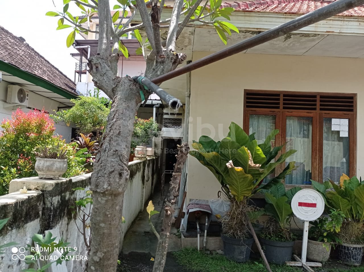 WhatsApp Image 2021-03-24 at 12.16.47(1)