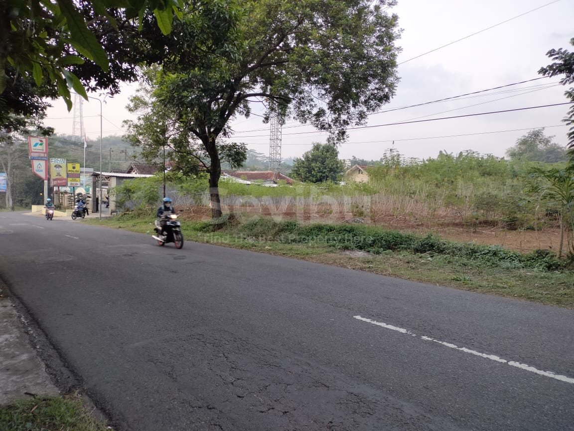 WhatsApp Image 2021-06-25 at 14.45.30