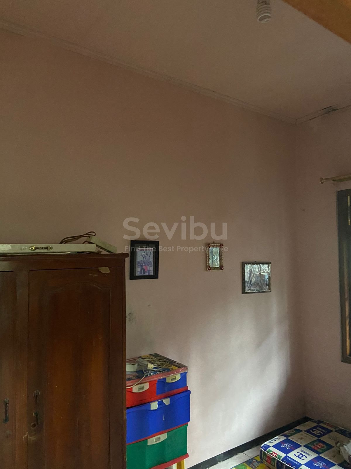 WhatsApp Image 2021-08-13 at 14.56.23