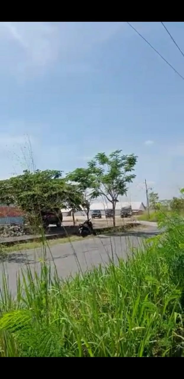 WhatsApp Image 2021-09-17 at 14.26.21 (1)