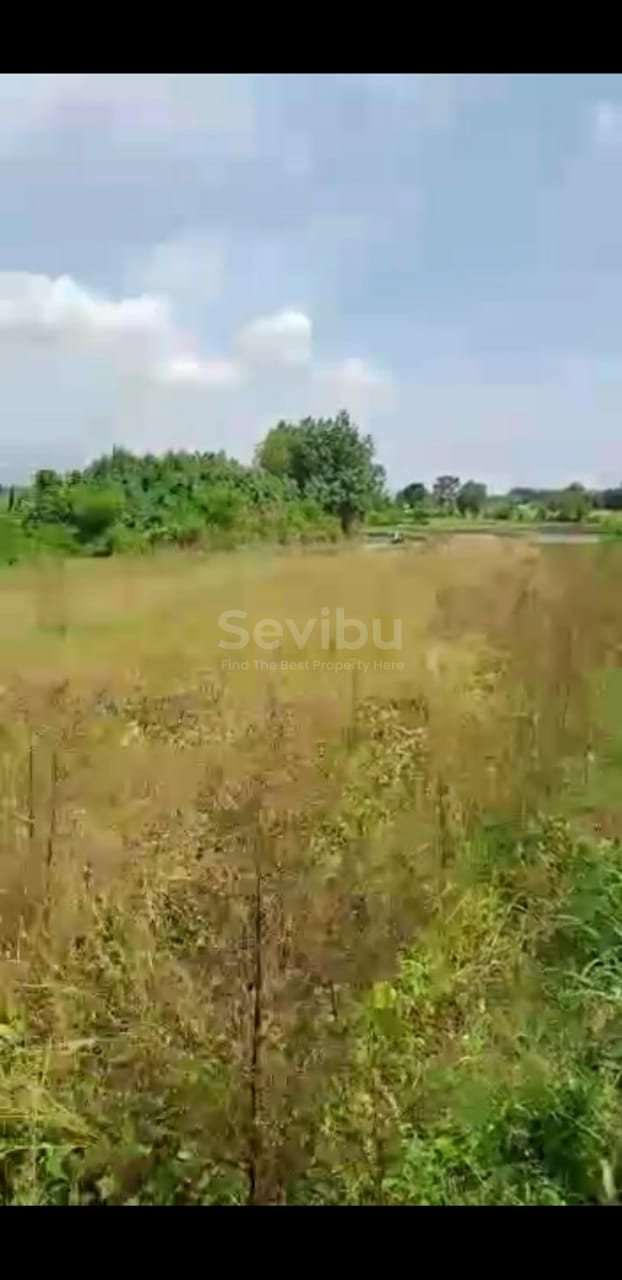 WhatsApp Image 2021-09-17 at 14.26.21