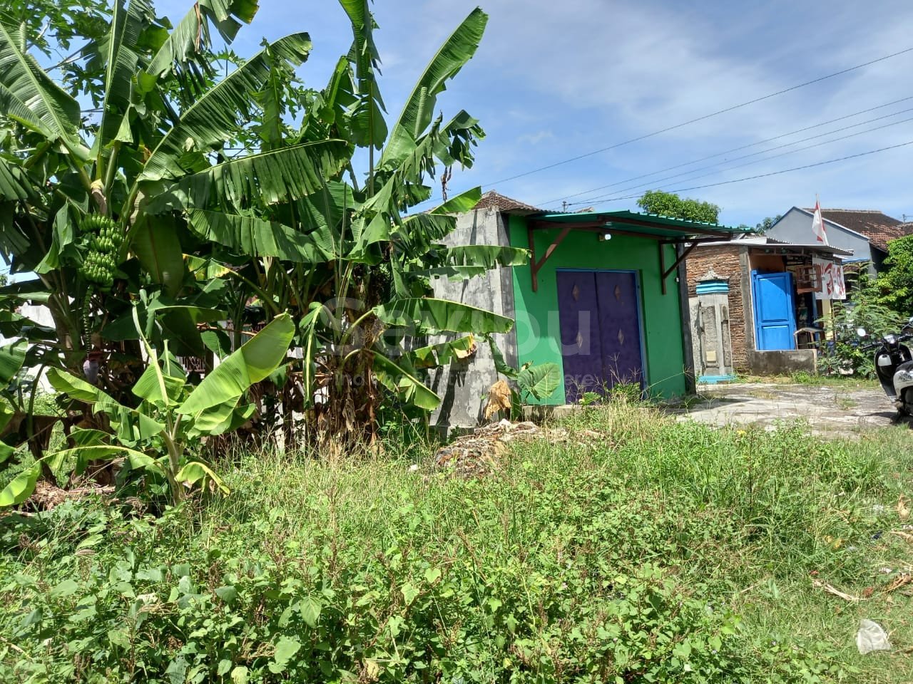 WhatsApp Image 2021-09-17 at 14.55.01