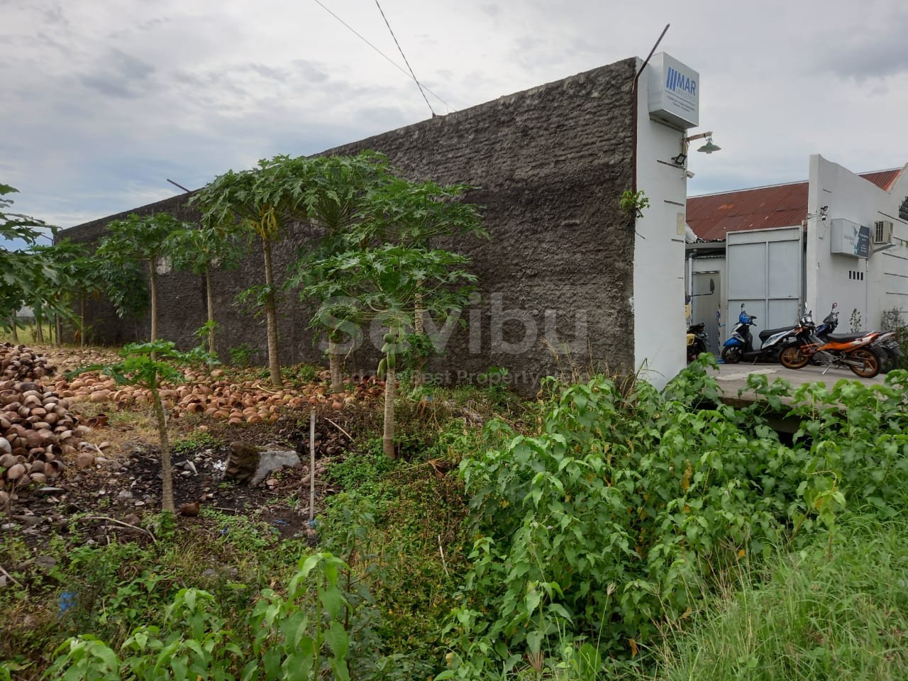 WhatsApp Image 2021-11-13 at 2.35.06 AM (1)