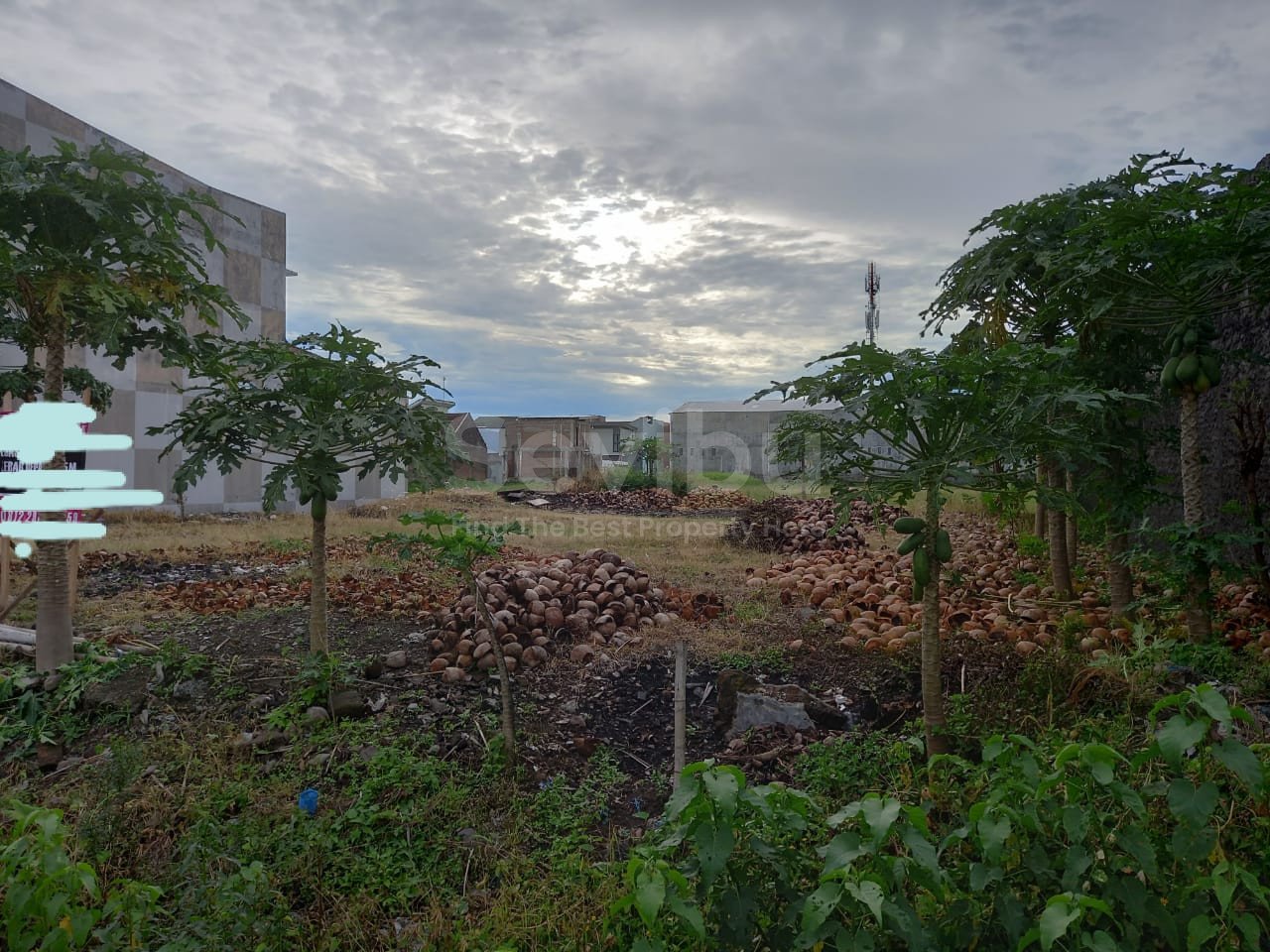 WhatsApp Image 2021-11-13 at 2.35.07 AM (1)