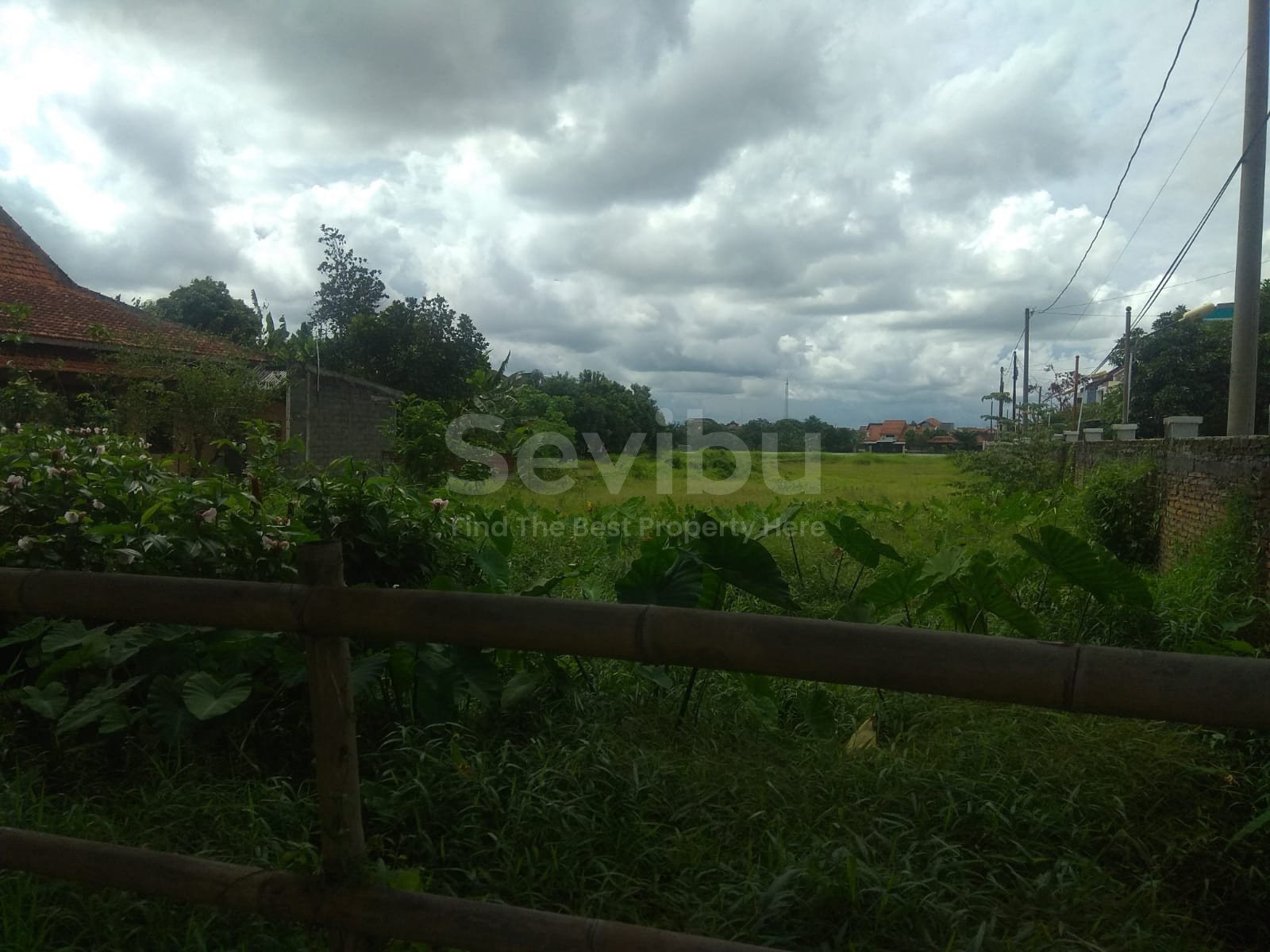 WhatsApp Image 2021-11-29 at 8.23.20 AM