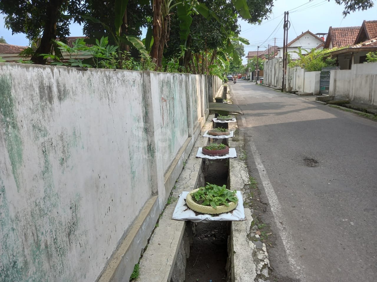 WhatsApp Image 2022-02-04 at 11.27.37 AM (1)