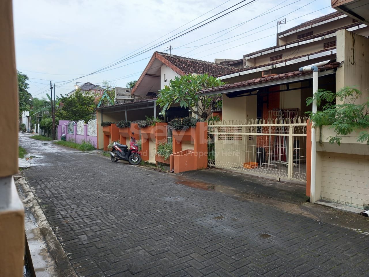 WhatsApp Image 2022-02-04 at 11.30.40 AM (1)