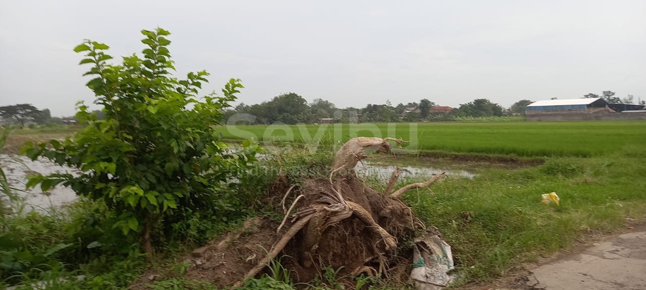 WhatsApp Image 2022-06-06 at 10.21.48 AM (1)