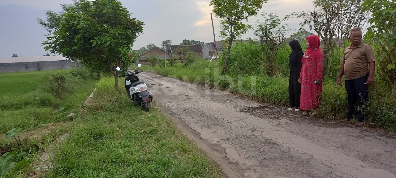 WhatsApp Image 2022-06-06 at 10.21.49 AM