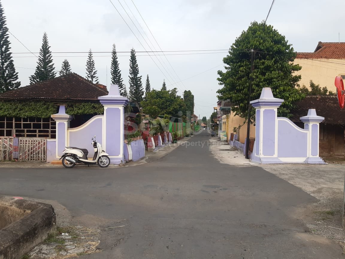 WhatsApp Image 2022-07-23 at 11.30.54 (1)