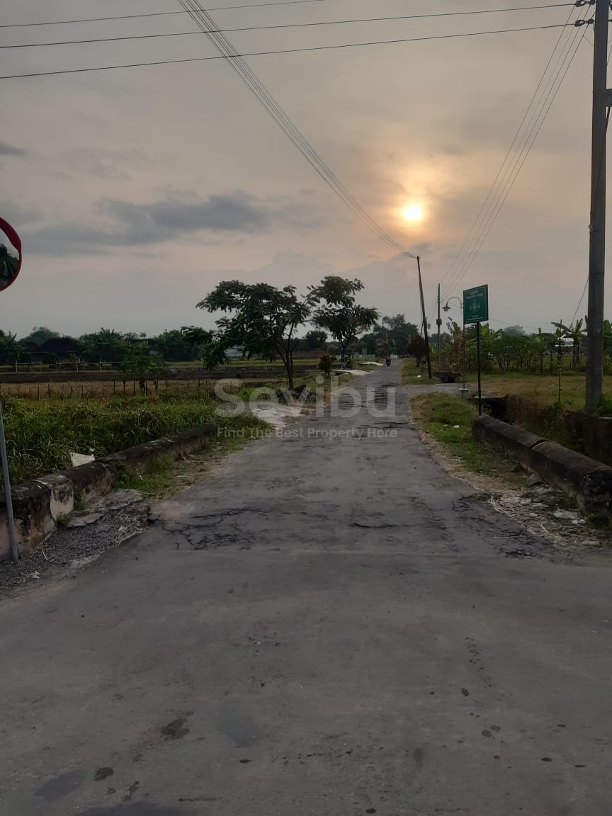 WhatsApp Image 2022-07-23 at 11.30.54 (2)