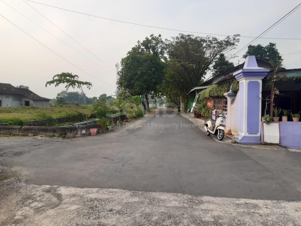 WhatsApp Image 2022-07-23 at 11.30.54