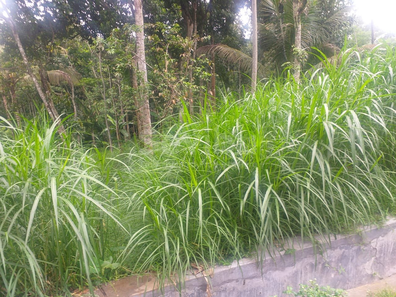 WhatsApp Image 2022-07-27 at 11.50.03