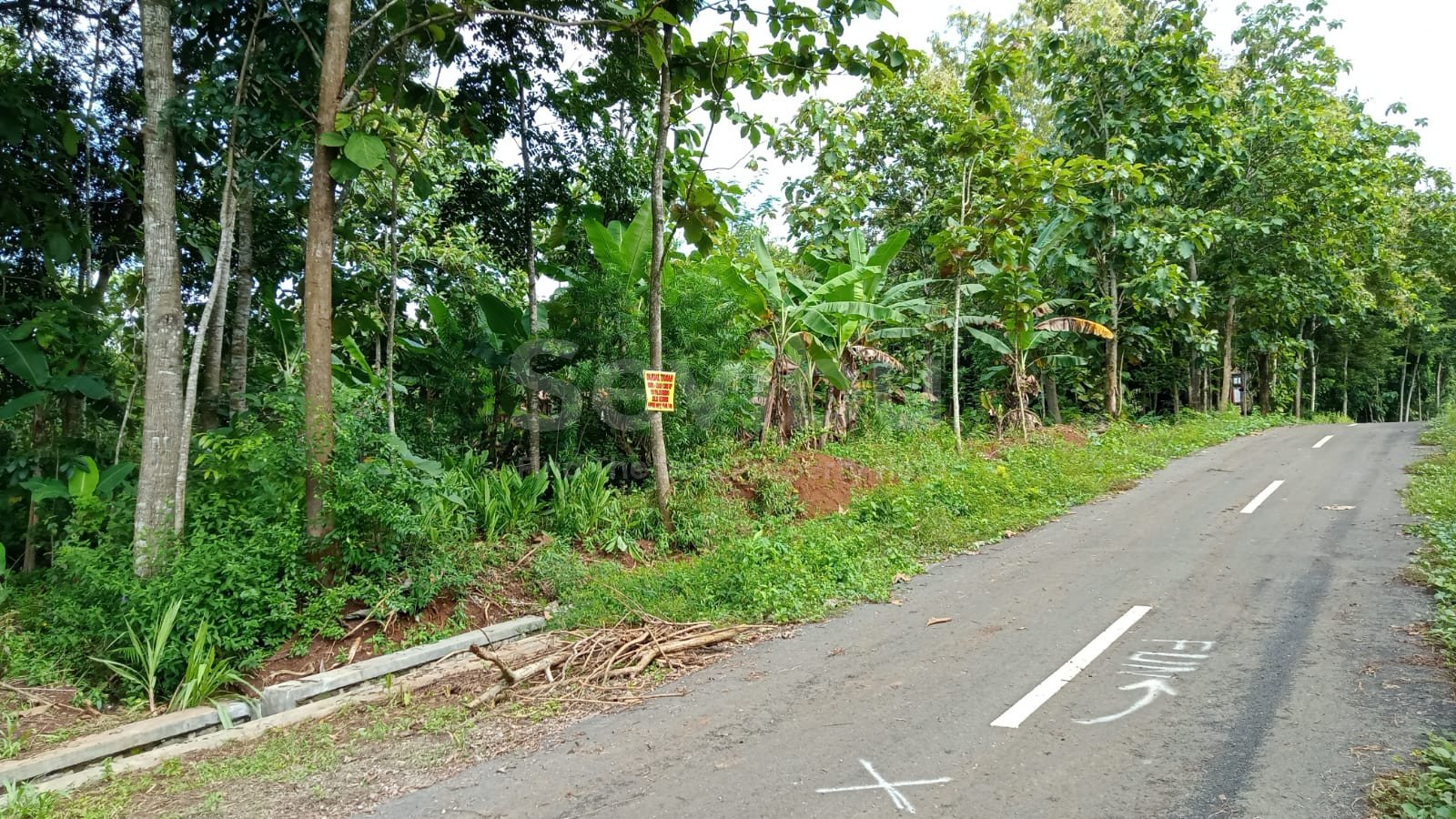 WhatsApp Image 2022-08-25 at 11.34.55