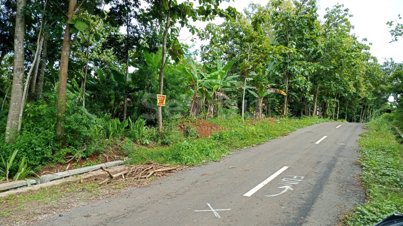 WhatsApp Image 2022-08-25 at 11.34.56