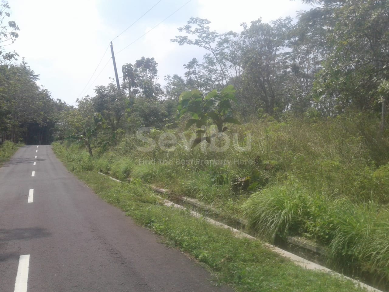 WhatsApp Image 2022-08-25 at 11.35.27