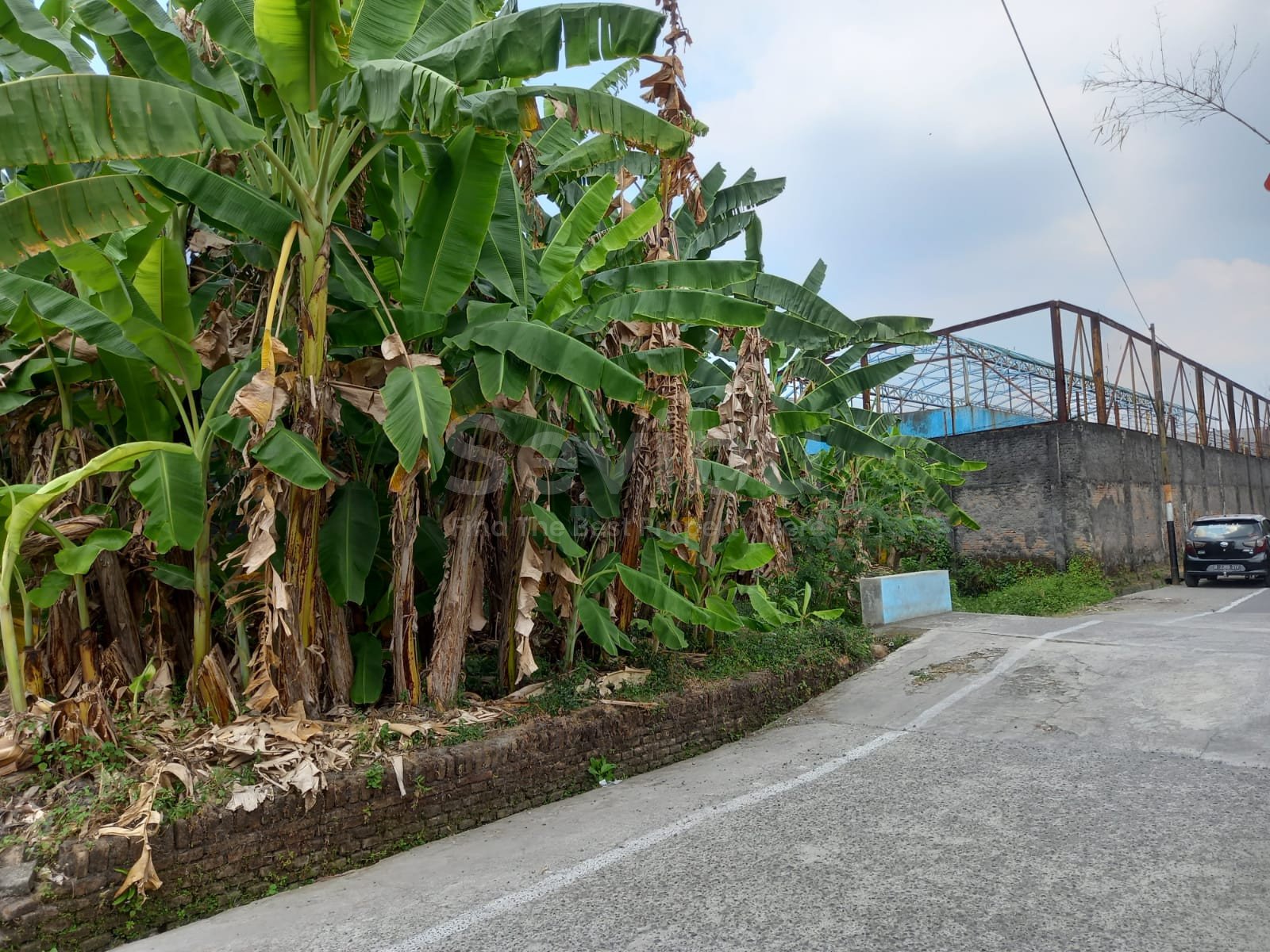 WhatsApp Image 2022-08-27 at 10.44.25