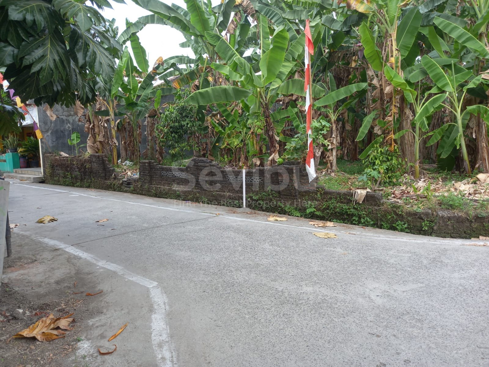 WhatsApp Image 2022-08-27 at 10.44.26 (1)