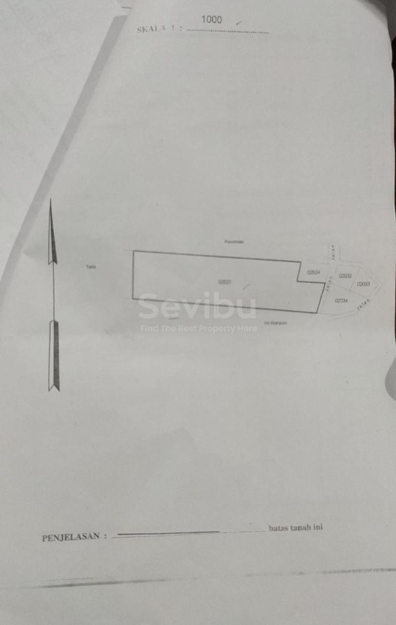 WhatsApp Image 2022-10-07 at 13.33.45