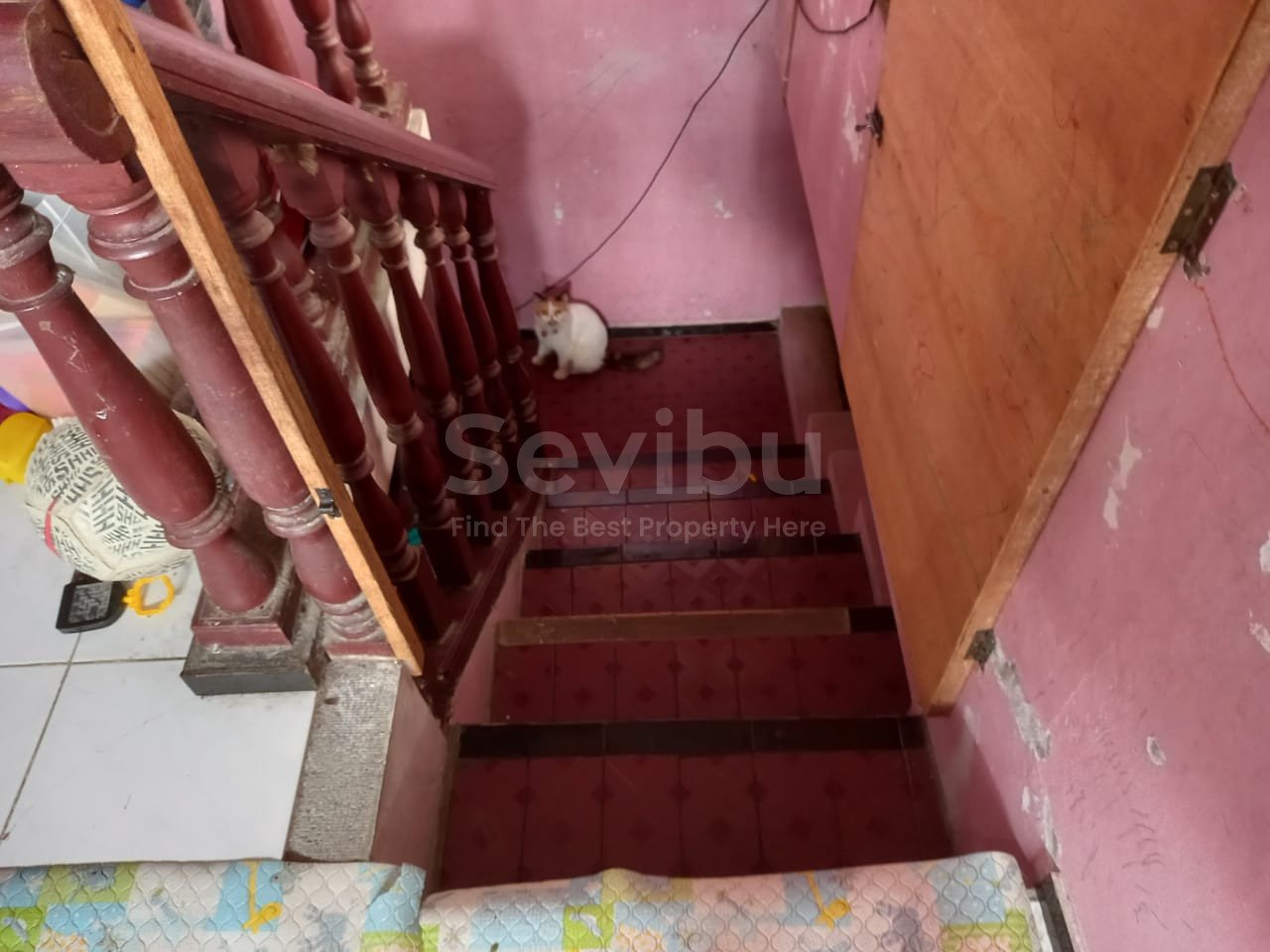 WhatsApp Image 2022-10-14 at 18.07.03 (1)