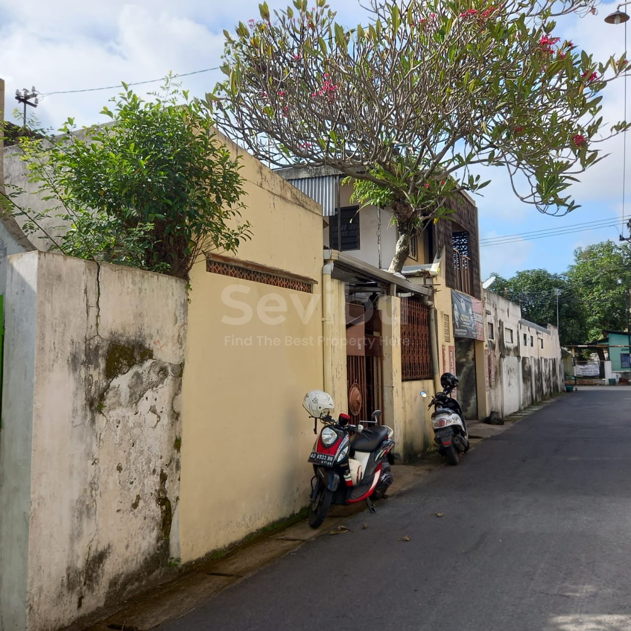 WhatsApp Image 2023-01-27 at 19.30.25