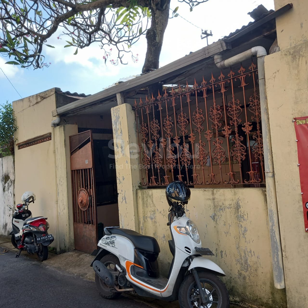 WhatsApp Image 2023-01-27 at 19.30.26 (2)