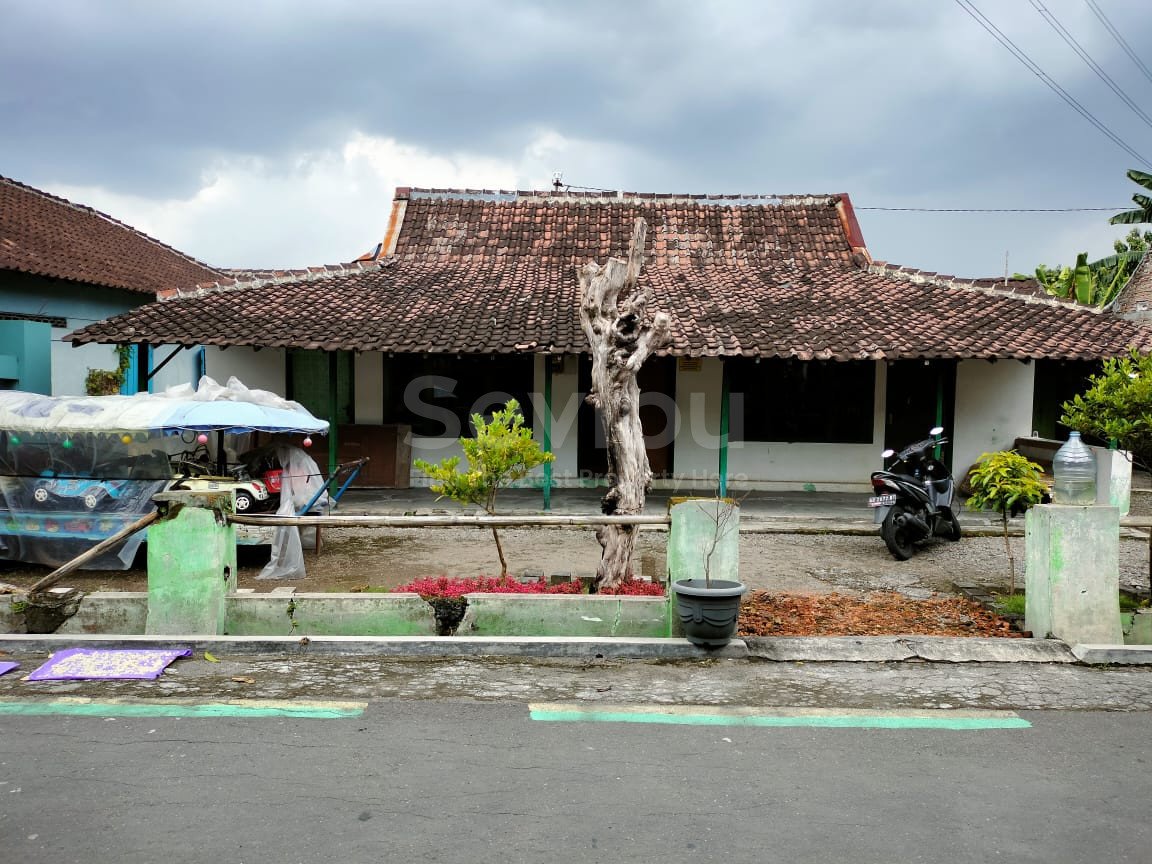 WhatsApp Image 2023-02-02 at 13.50.53