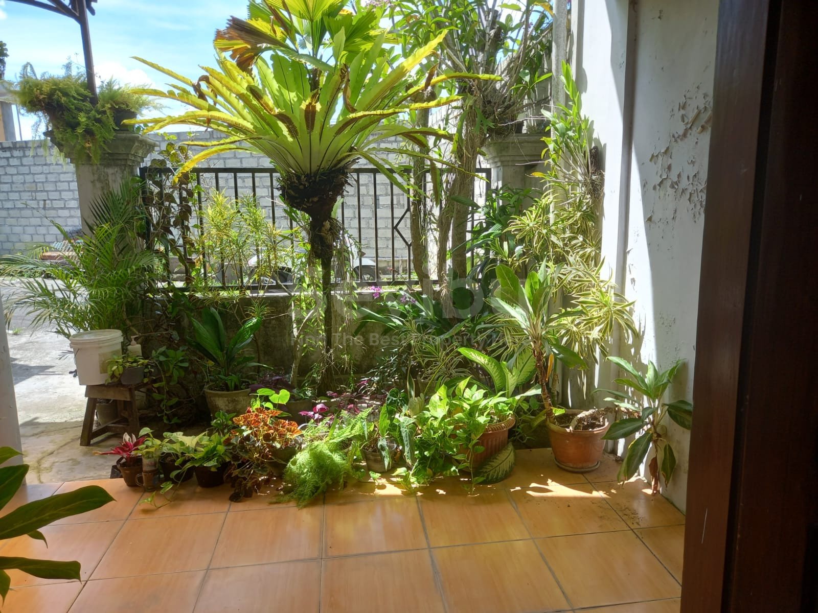 WhatsApp Image 2023-02-04 at 09.05.40 (3)