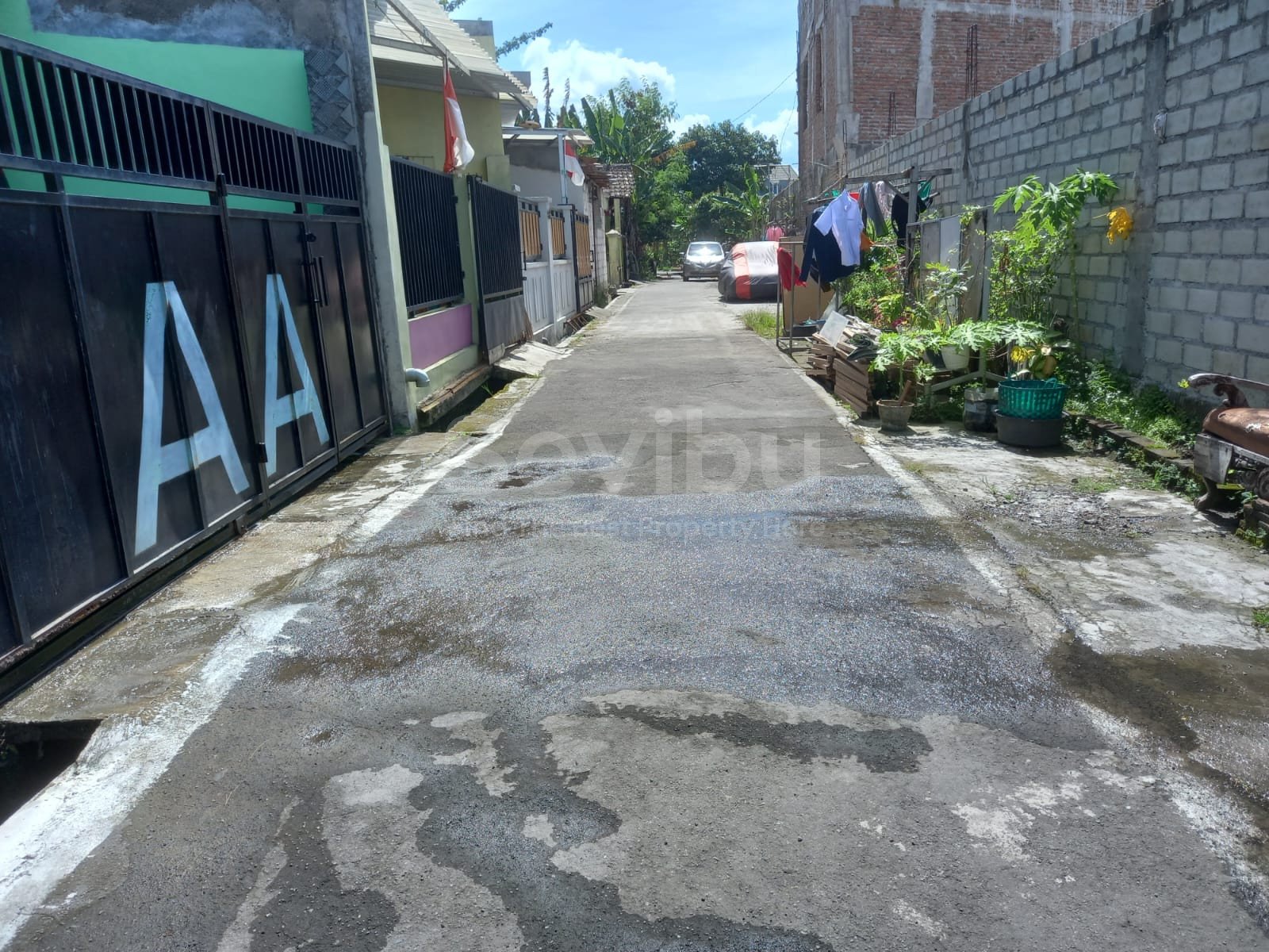 WhatsApp Image 2023-02-04 at 09.05.40