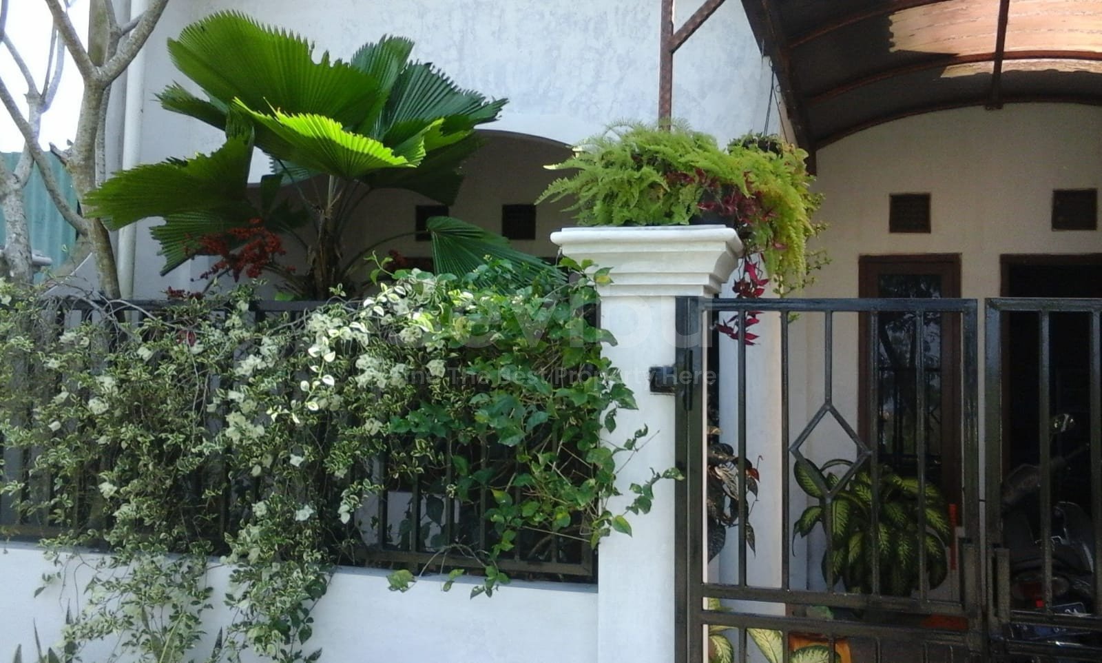 WhatsApp Image 2023-02-04 at 09.07.19 (1)