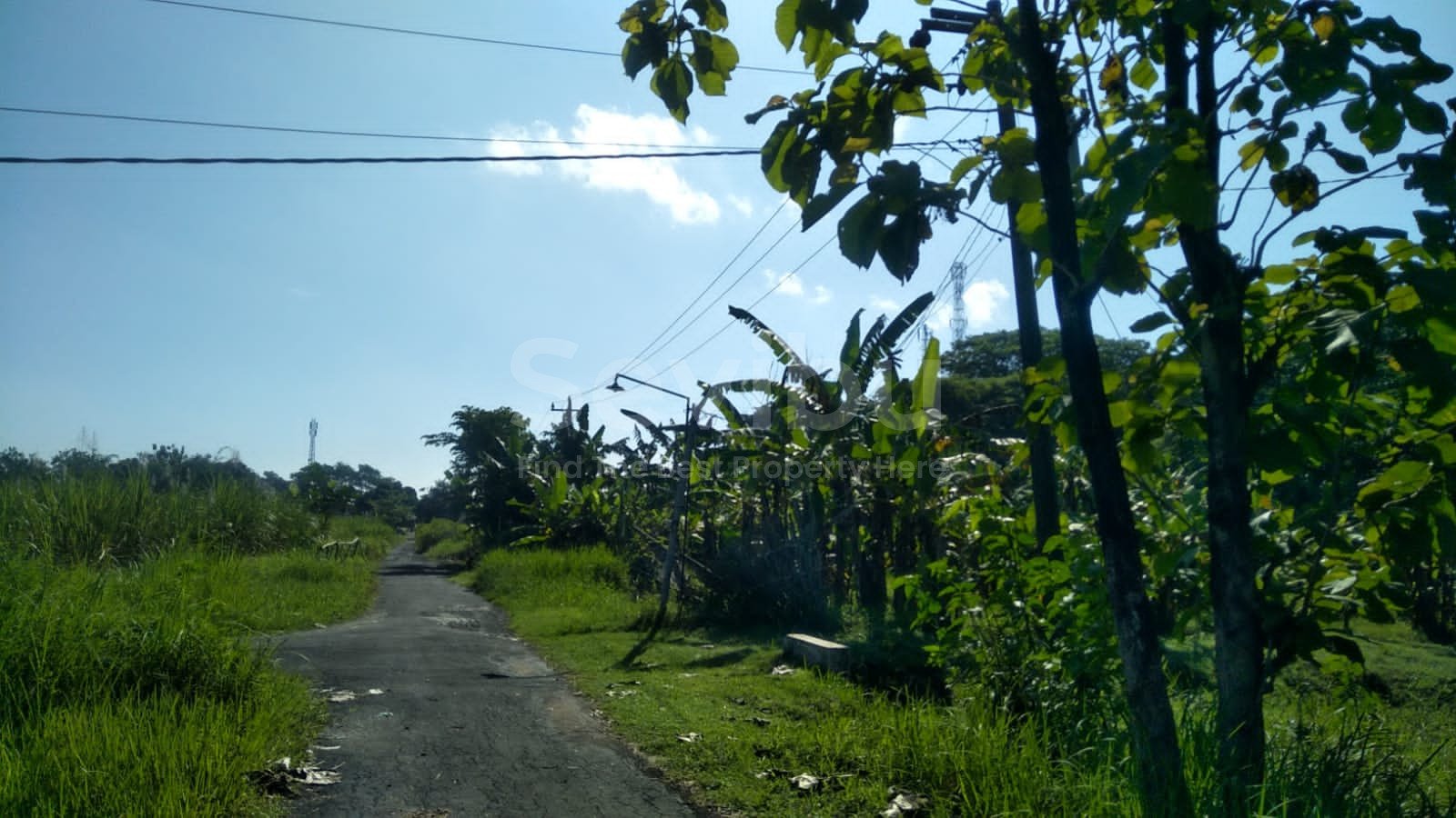 WhatsApp Image 2023-05-12 at 10.06.31