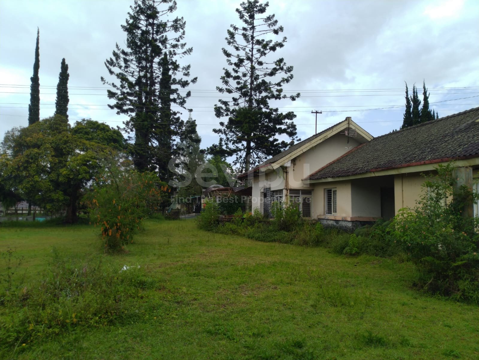 WhatsApp Image 2023-06-03 at 11.09.40 (1)