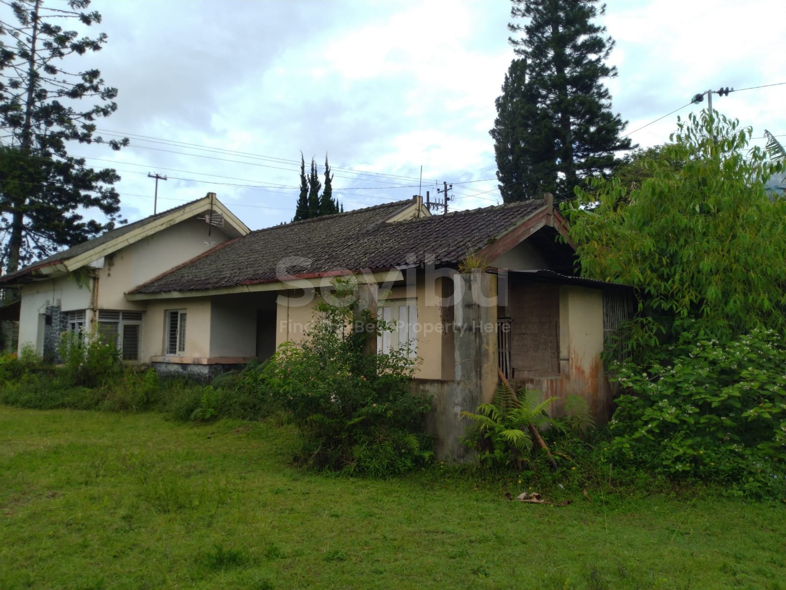 WhatsApp Image 2023-06-03 at 11.09.41 (2)