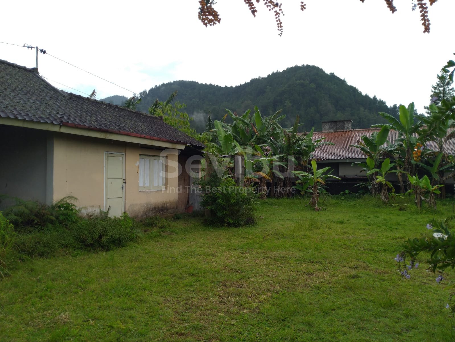 WhatsApp Image 2023-06-03 at 11.09.42