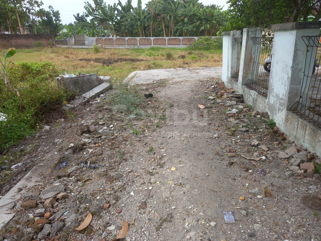 WhatsApp Image 2023-06-16 at 20.59.18